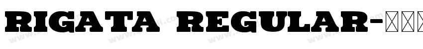 RIGATA Regular字体转换